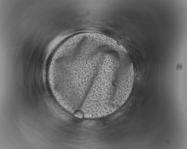 X0000112170294200909041157