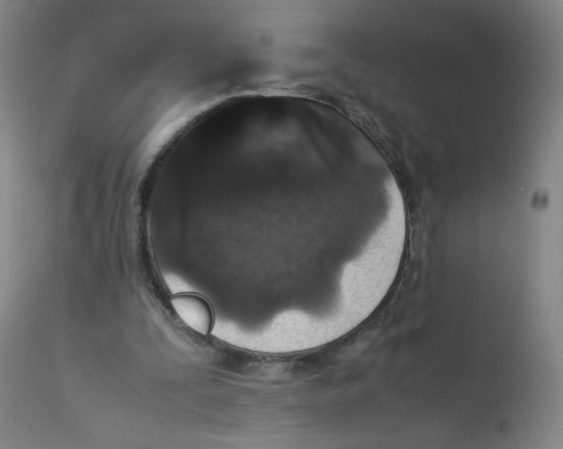 X0000112170295200909041157