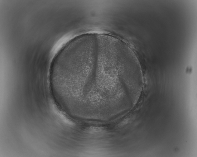 X0000112170296200909041157