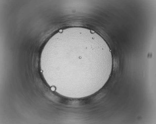 X0000112170301200909041157