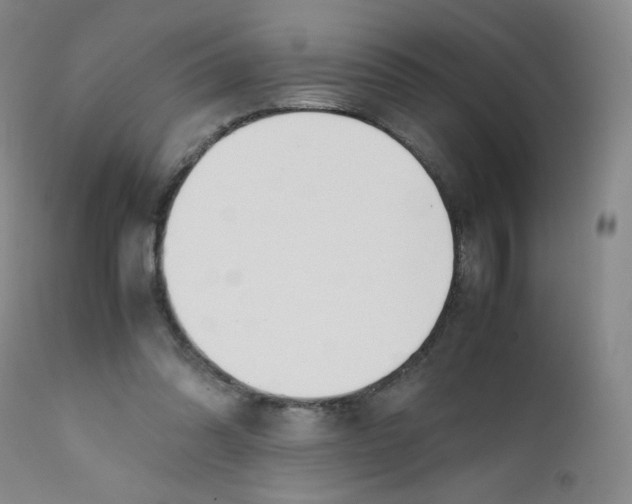 X0000112170302200909041157