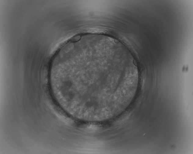 X0000112170303200909041157