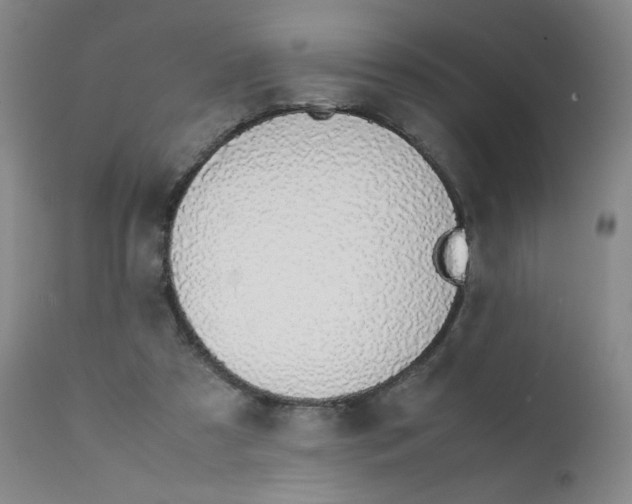 X0000112170305200909041157