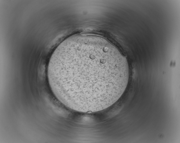 X0000112170308200909041157