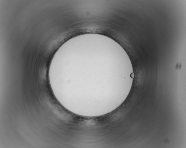 X0000112170310200909041157