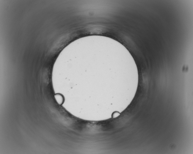 X0000112170311200909041157