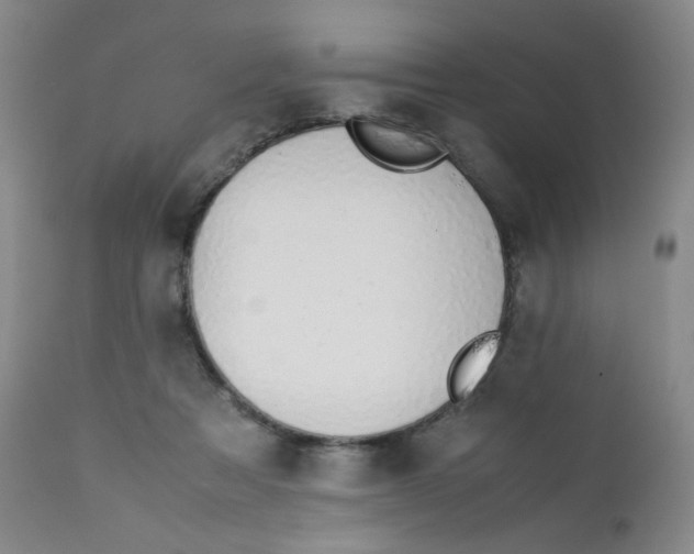 X0000112170313200909041157