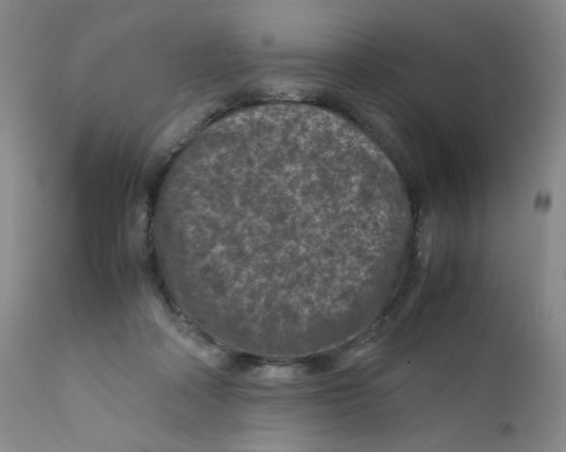 X0000112170314200909041157