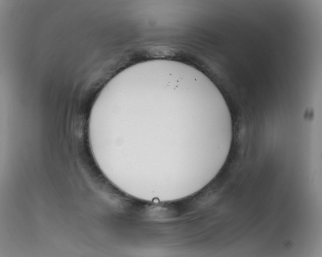 X0000112170315200909041157