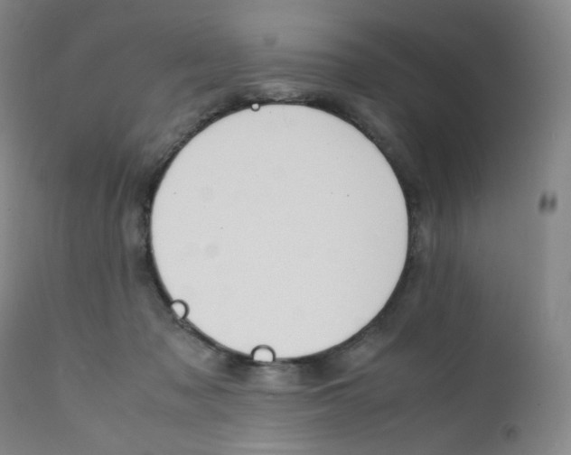 X0000112170317200909041157