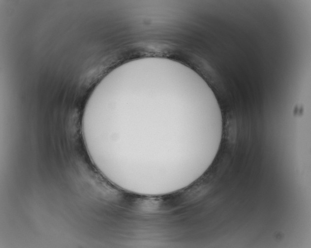 X0000112170318200909041157