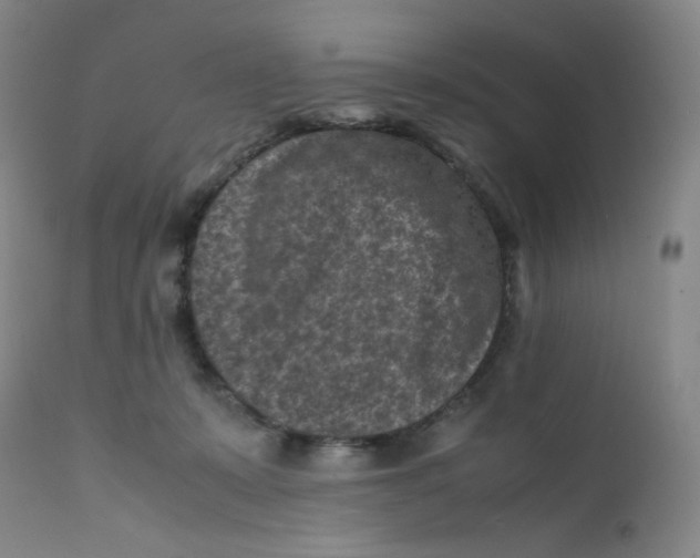 X0000112170319200909041157