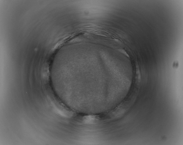 X0000112170320200909041157