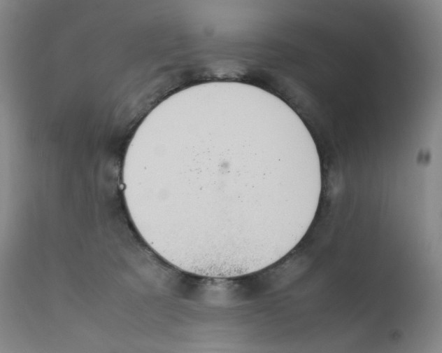 X0000112170321200909041157