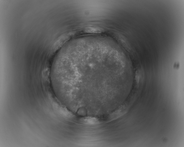 X0000112170322200909041157