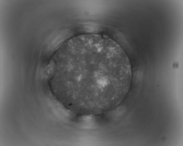 X0000112170325200909041157