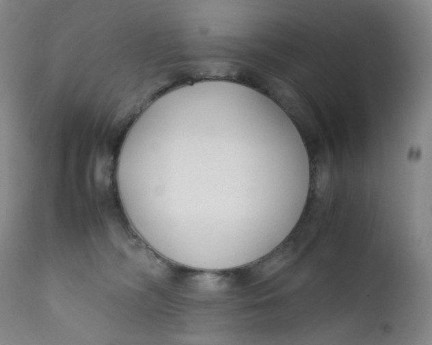 X0000112170326200909041157