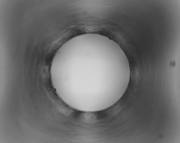 X0000112170327200909041157