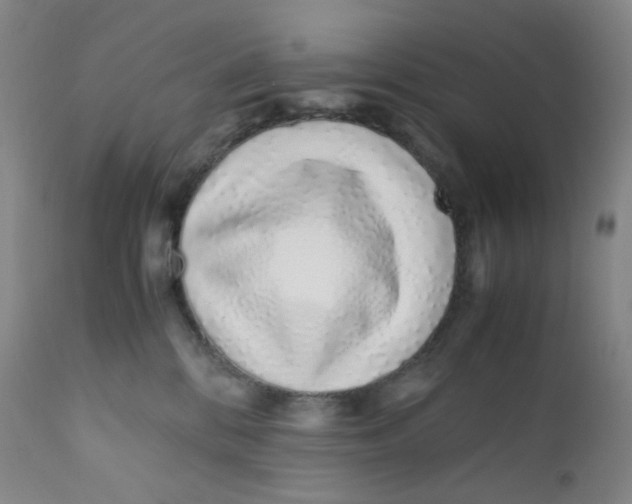 X0000112170328200909041157