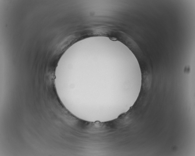 X0000112170329200909041157