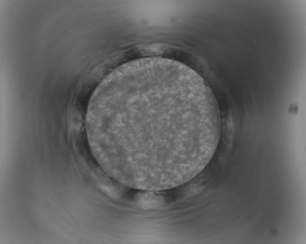 X0000112170331200909041157