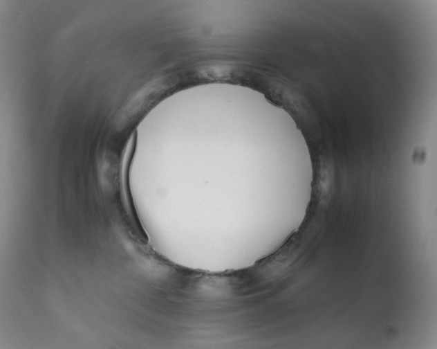 X0000112170332200909041157