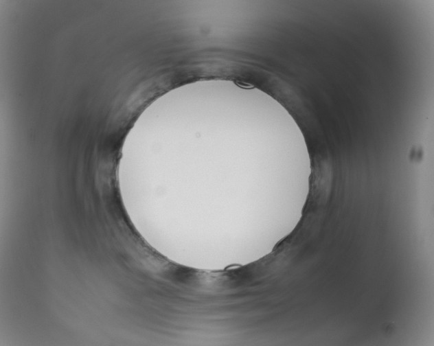 X0000112170333200909041157