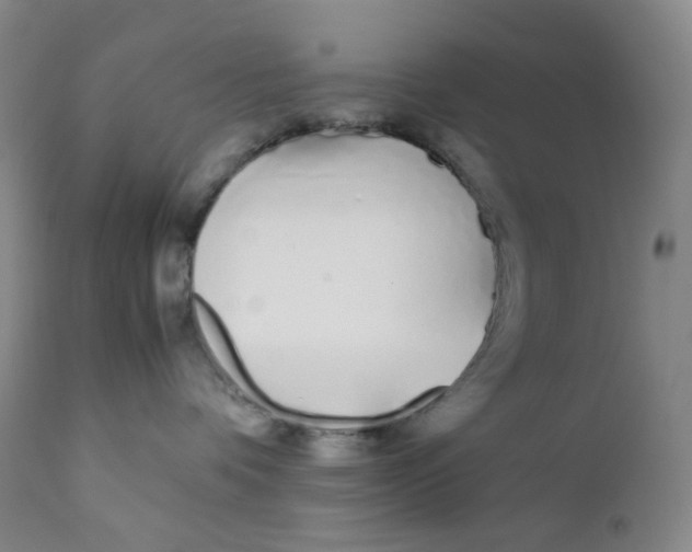 X0000112170336200909041157