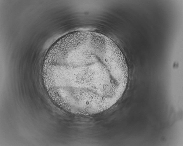 X0000112170337200909041156