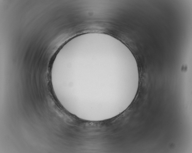 X0000112170338200909041156