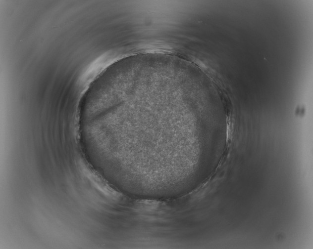 X0000112170339200909041156