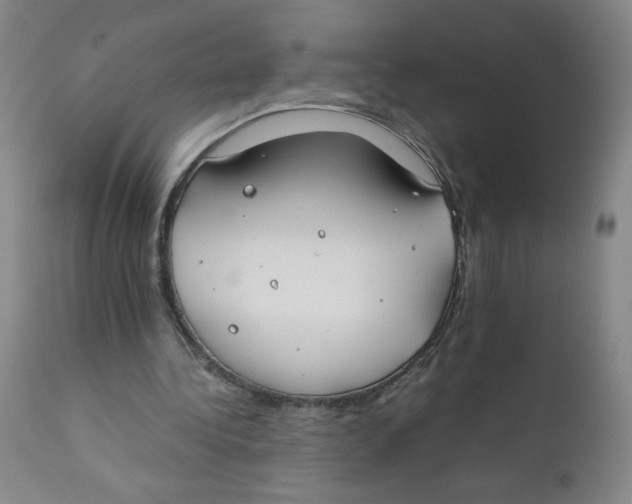 X0000112170340200909041156