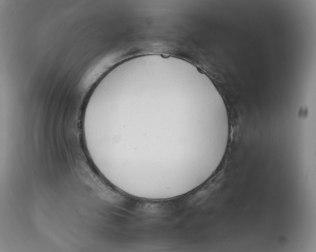 X0000112170341200909041156