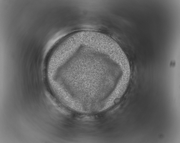 X0000112170343200909041156