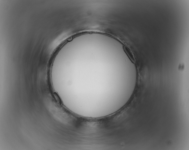 X0000112170344200909041156