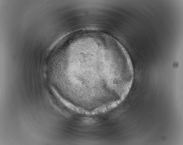 X0000112170347200909041156