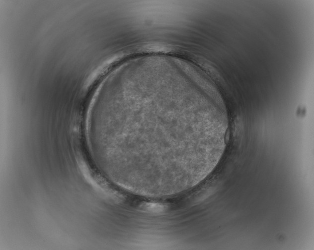 X0000112170352200909041156