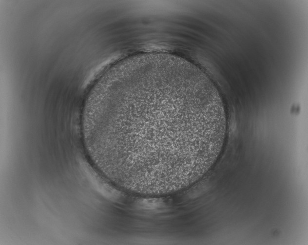 X0000112170353200909041156