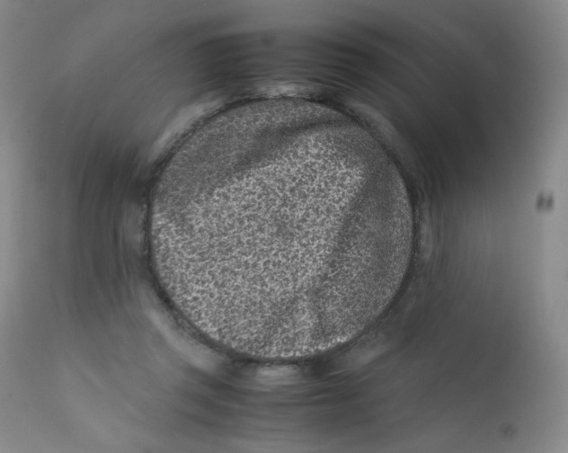 X0000112170357200909041156