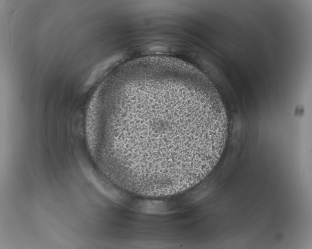 X0000112170361200909041156