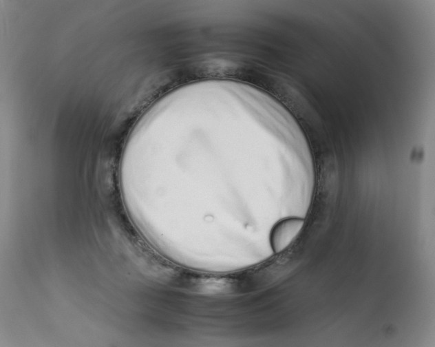 X0000112170363200909041156