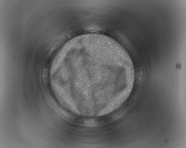 X0000112170365200909041157