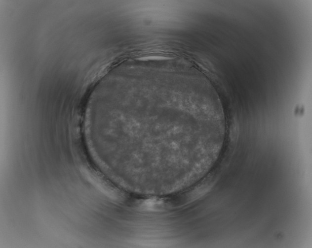 X0000112170366200909041157