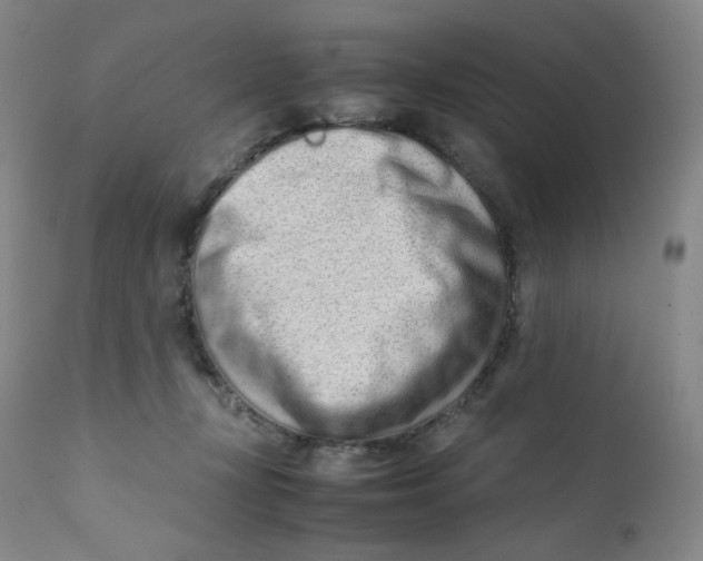 X0000112170367200909041157