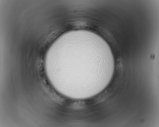 X0000112170369200909041157