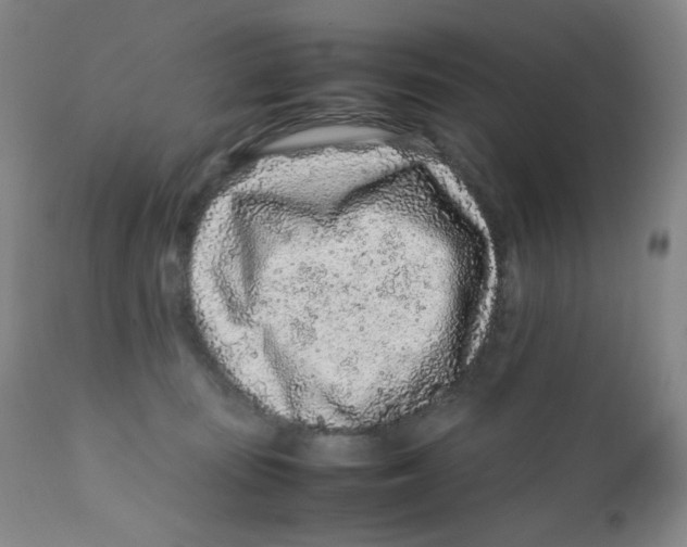 X0000112170371200909041157