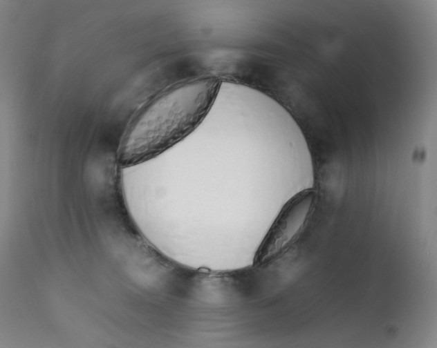 X0000112170372200909041157