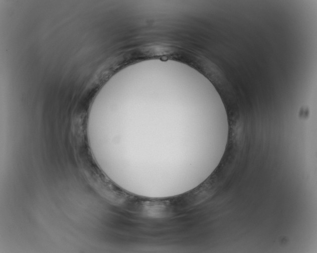 X0000112170373200909041157