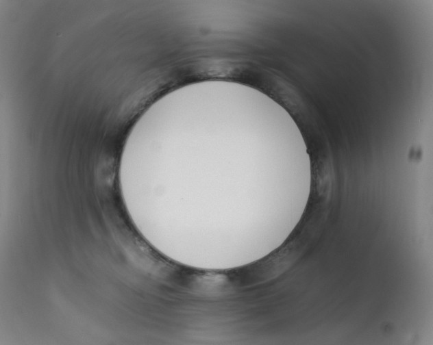 X0000112170374200909041157