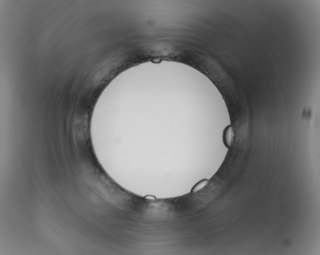 X0000112170376200909041157